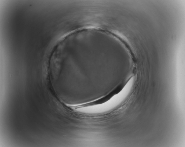 X0000088401359200706051128