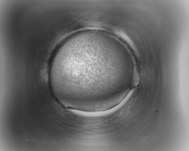 X0000088401360200706051128