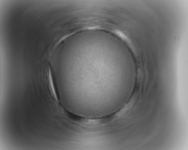 X0000088401361200706051128