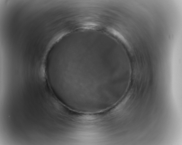 X0000088401362200706051128