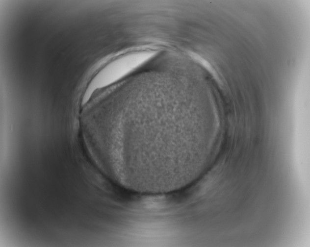 X0000088401363200706051128