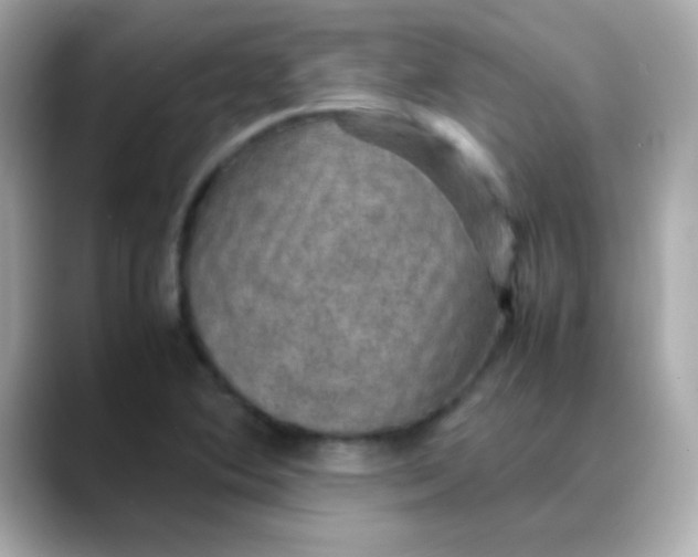 X0000088401364200706051128