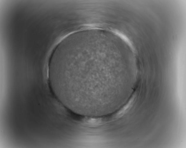 X0000088401365200706051128