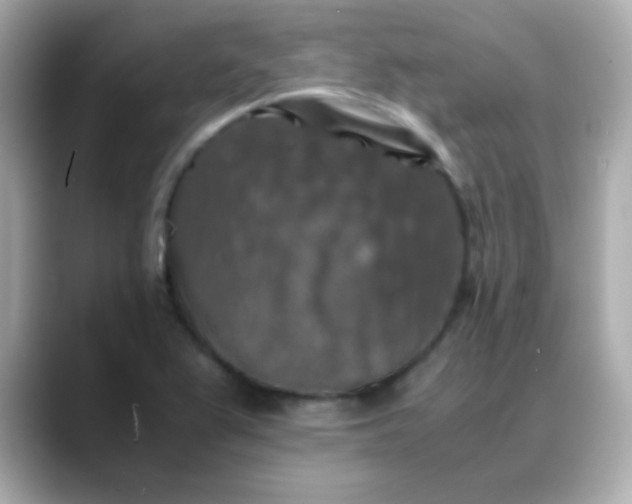 X0000088401367200706051128