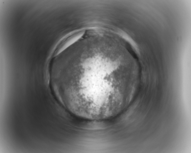 X0000088401368200706051128