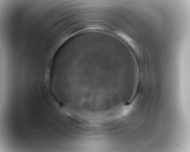 X0000088401369200706051128