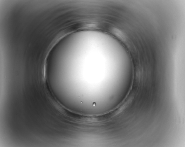 X0000088401370200706051128