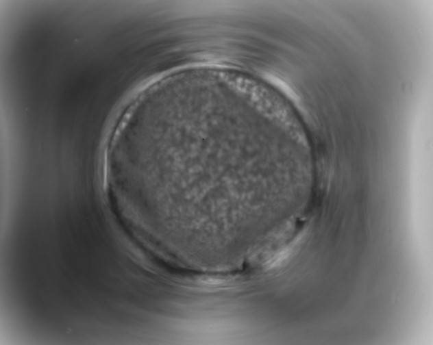 X0000088401371200706051128