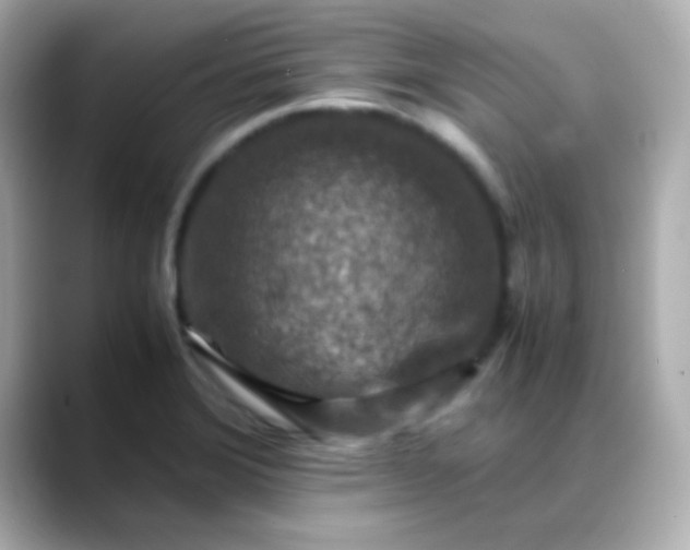 X0000088401372200706051128