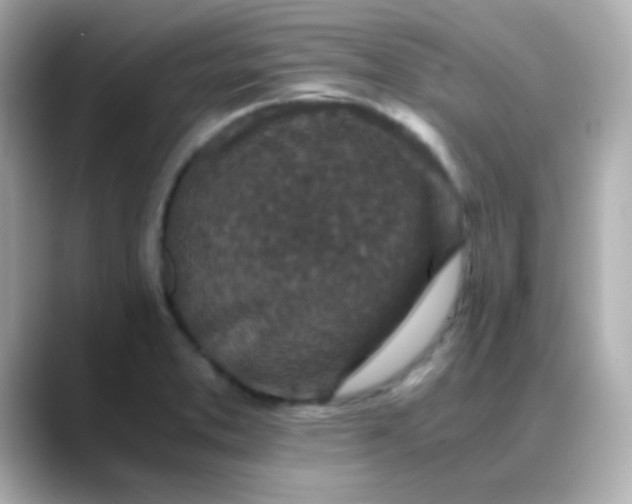 X0000088401373200706051128