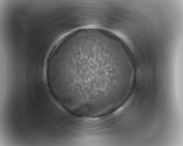 X0000088401374200706051128