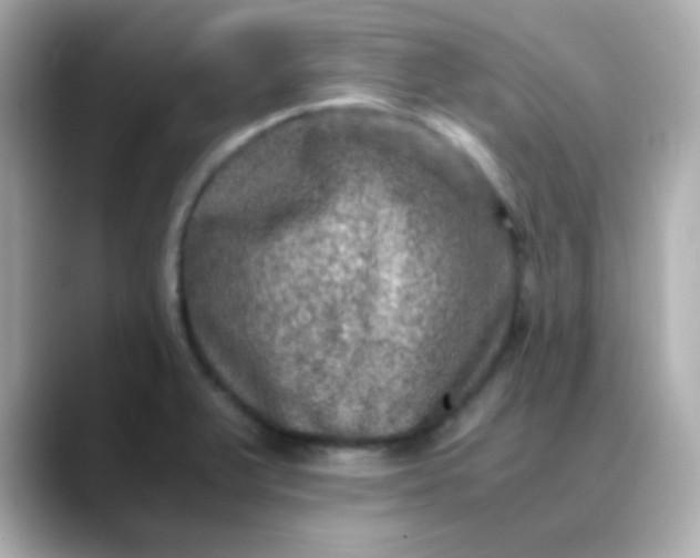 X0000088401375200706051128