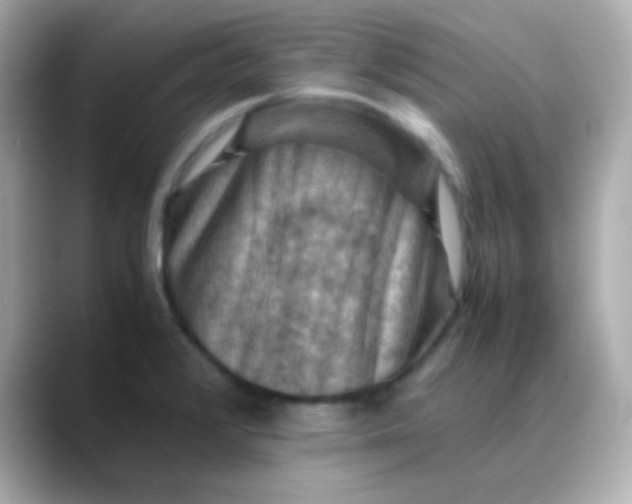 X0000088401376200706051128