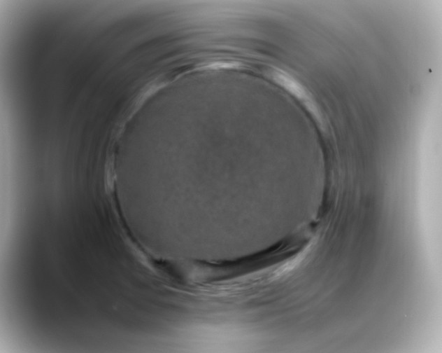 X0000088401377200706051128