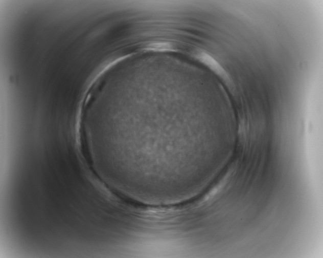 X0000088401378200706051128