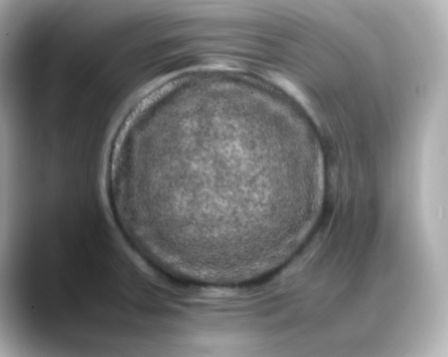 X0000088401379200706051128