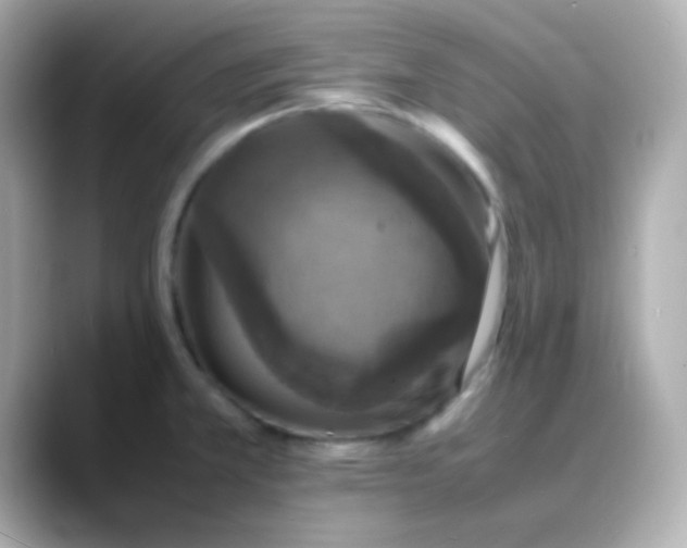 X0000088401381200706051128