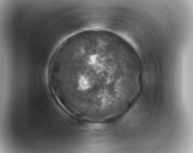 X0000088401382200706051128