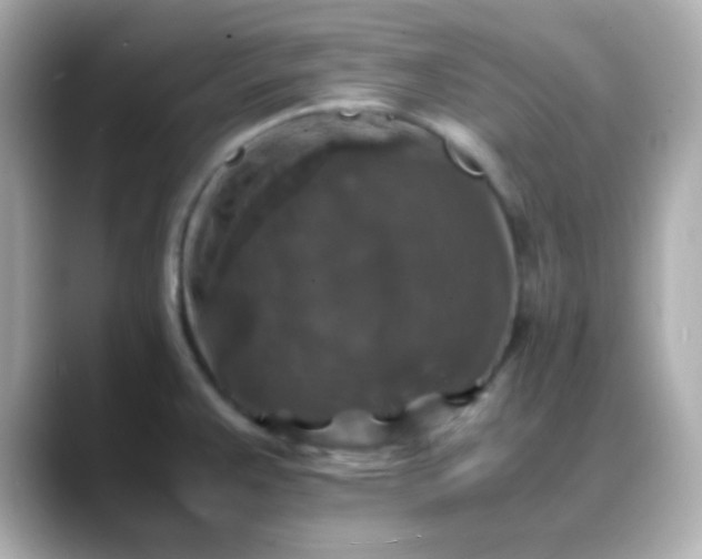 X0000088401383200706051128