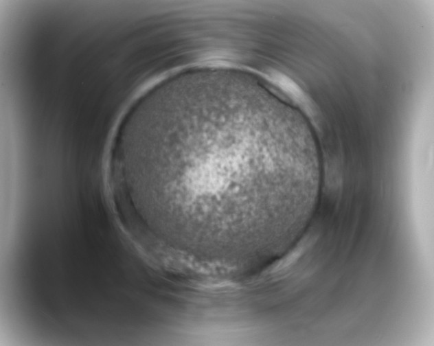 X0000088401384200706051128