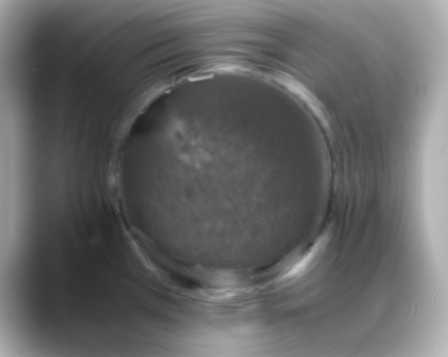 X0000088401385200706051128