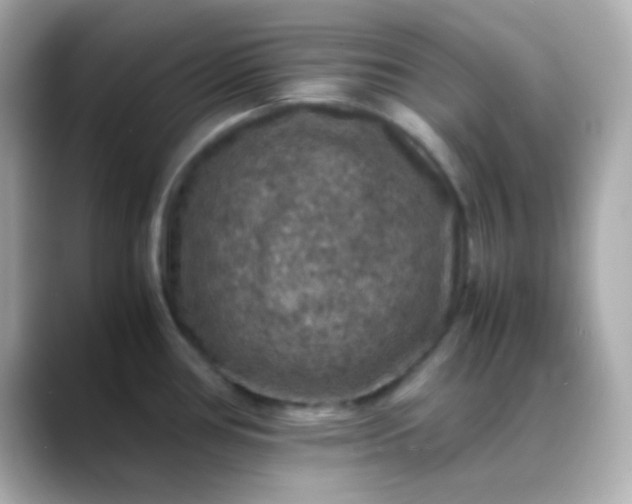 X0000088401386200706051128