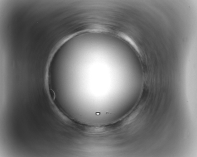 X0000088401387200706051128