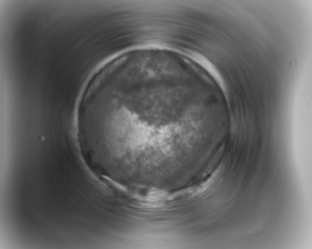 X0000088401388200706051128