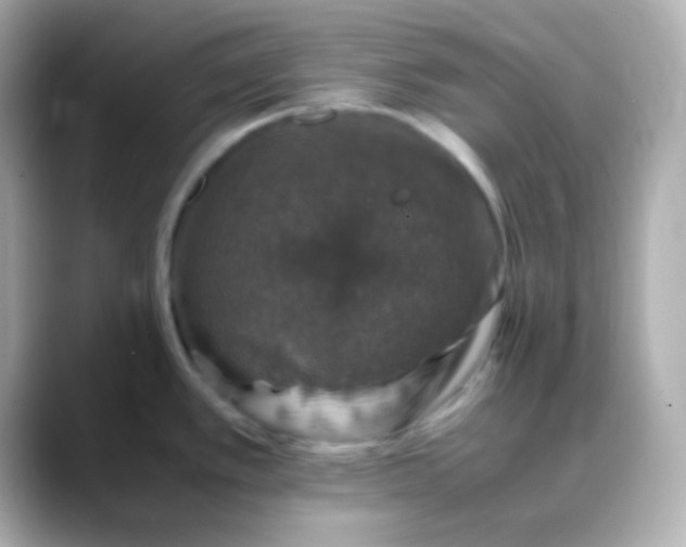 X0000088401389200706051128