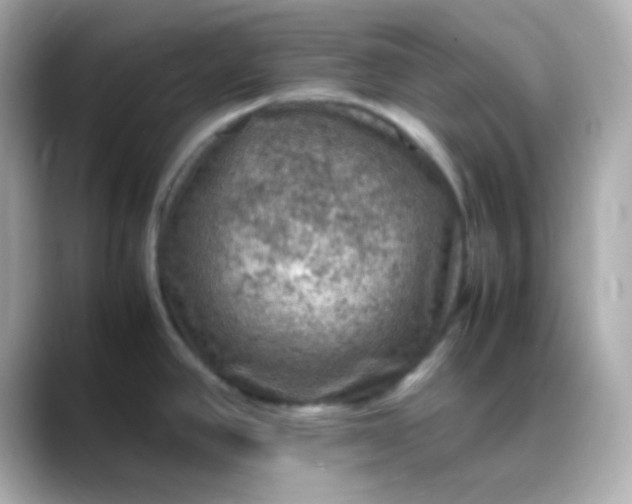 X0000088401390200706051128