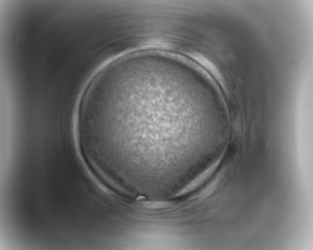 X0000088401391200706051128