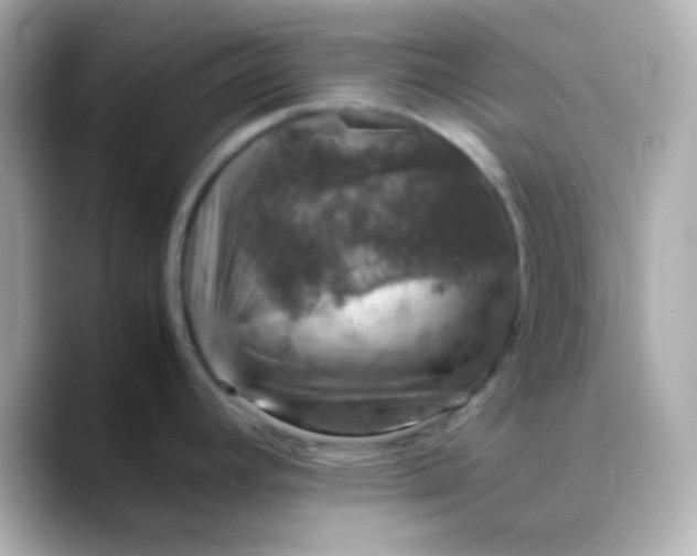 X0000088401392200706051128