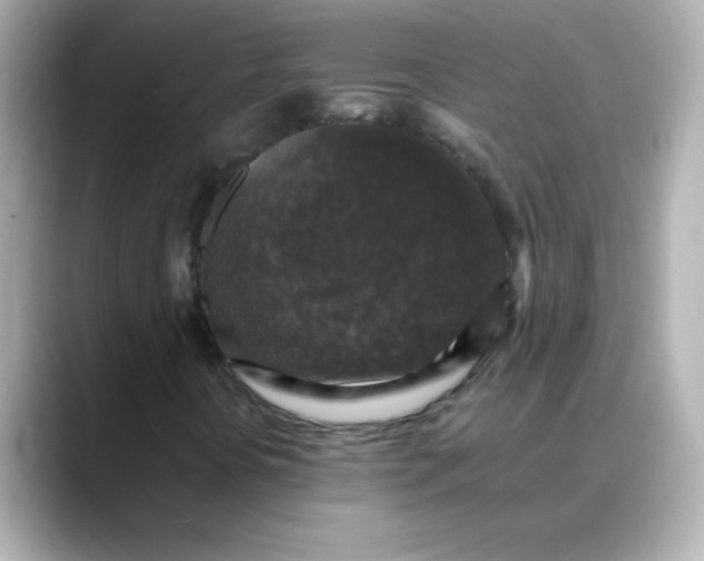 X0000088401394200706051127