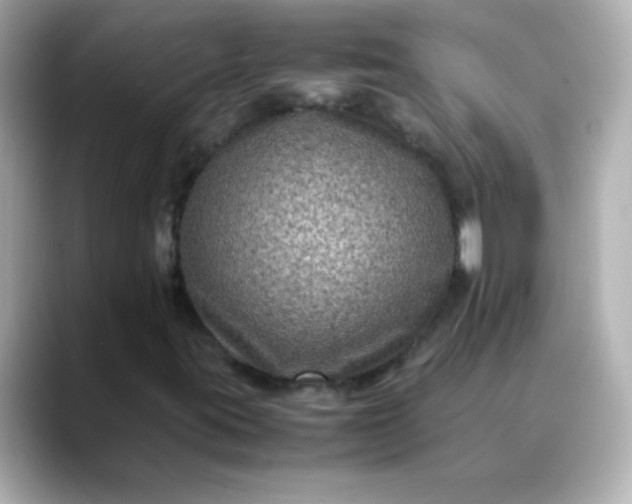 X0000088401395200706051127