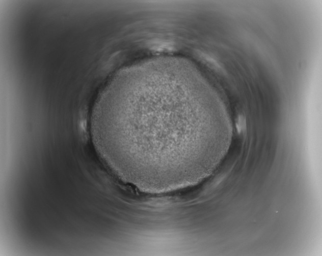 X0000088401396200706051127