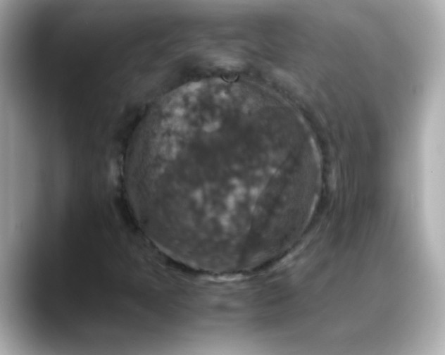 X0000088401397200706051127