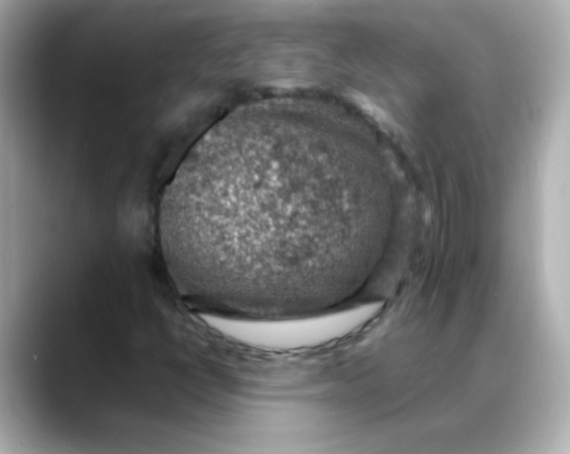 X0000088401398200706051127