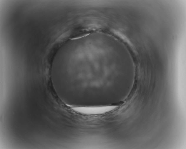 X0000088401399200706051127