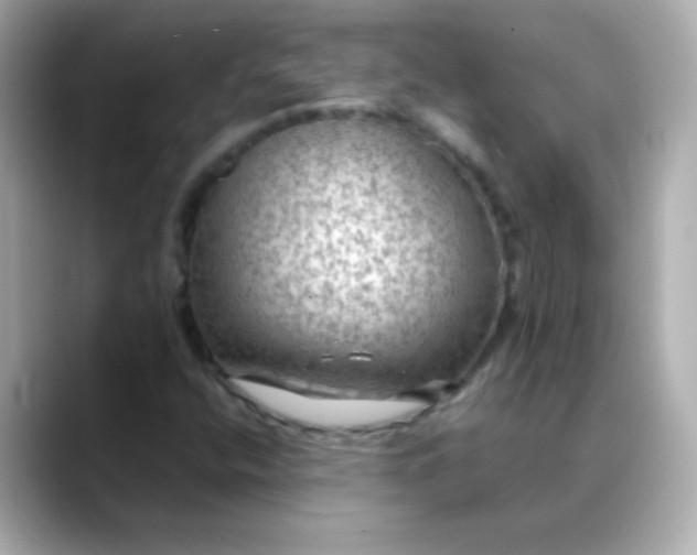 X0000088401400200706051127