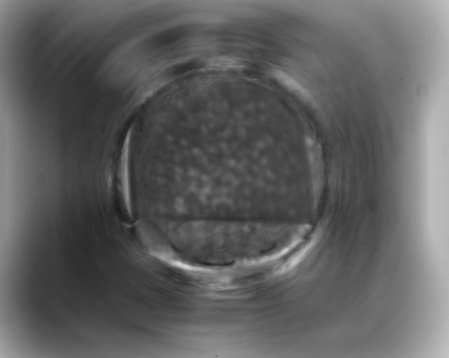 X0000088401401200706051127