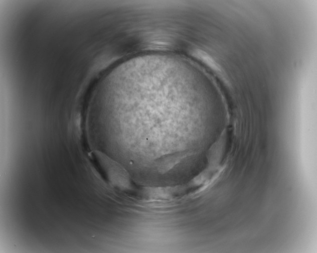 X0000088401402200706051127