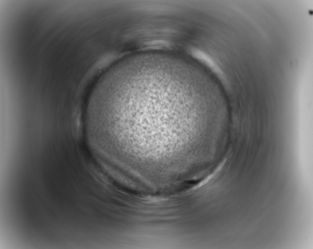 X0000088401403200706051127