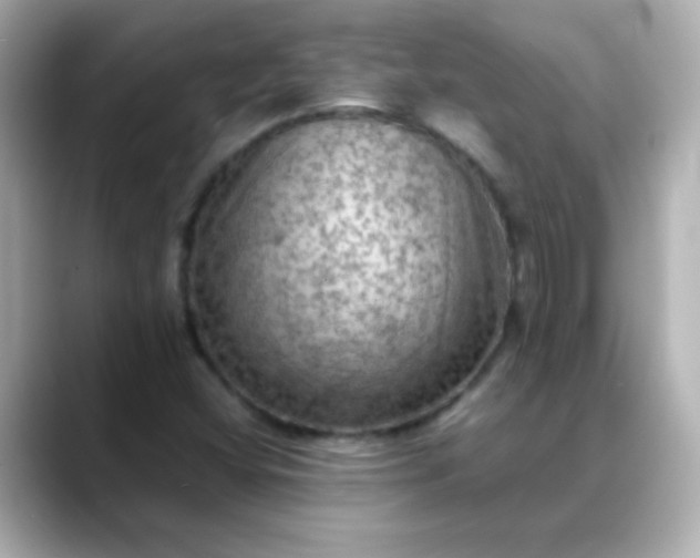 X0000088401404200706051127