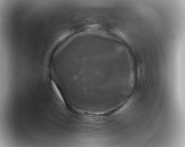 X0000088401405200706051127