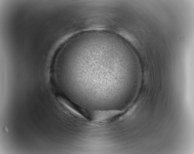 X0000088401406200706051127