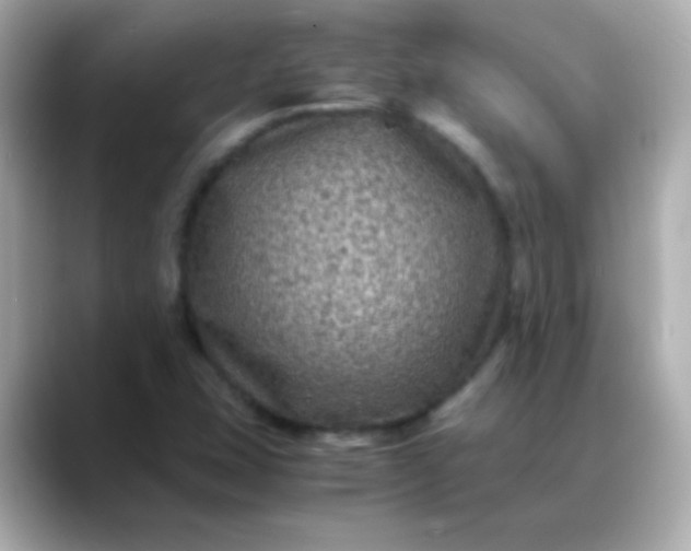 X0000088401407200706051127