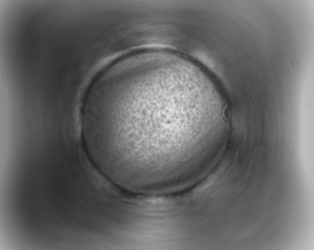 X0000088401408200706051127