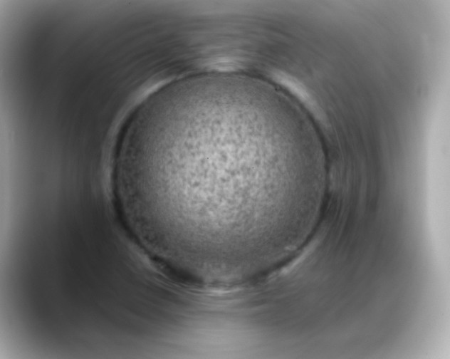 X0000088401410200706051127