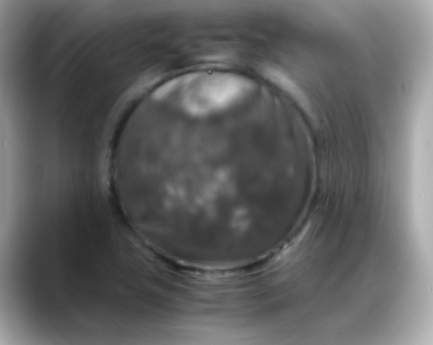 X0000088401411200706051127