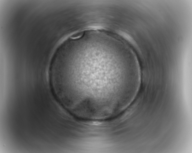 X0000088401412200706051127